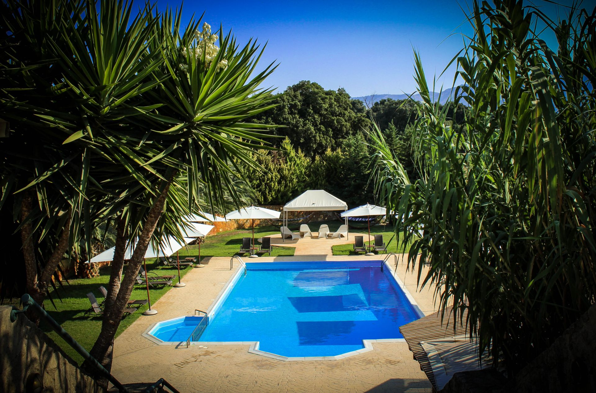 Theros Retreat Kefalonia (5)